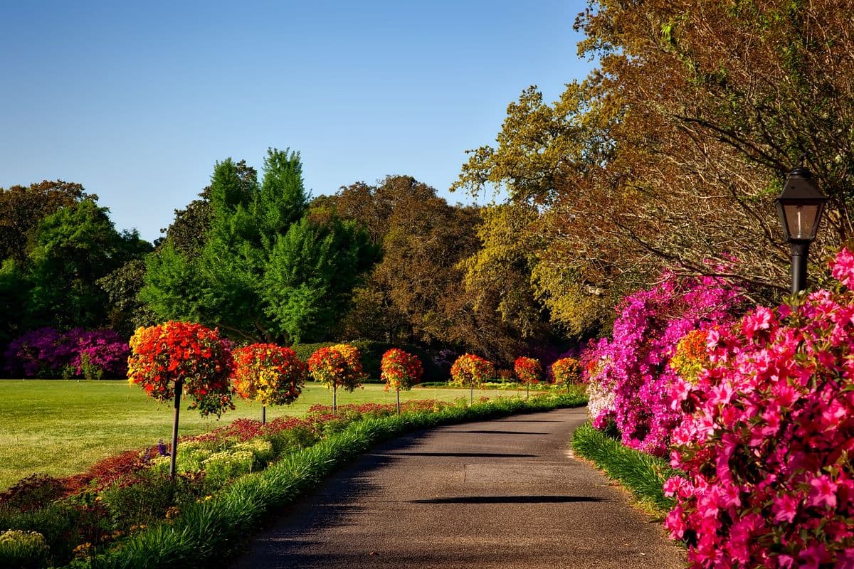 Gardens